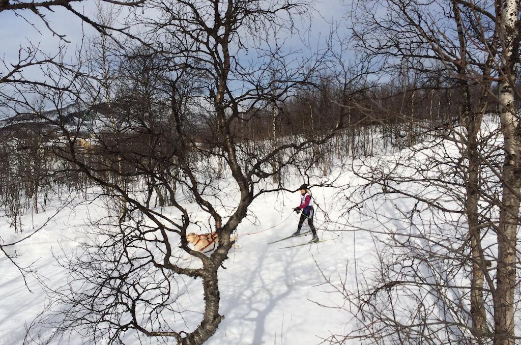 Stf Malmfaeltens Folkhoegskola Kiruna Quarto foto